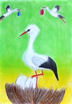 Misiaková Michaela.jpg